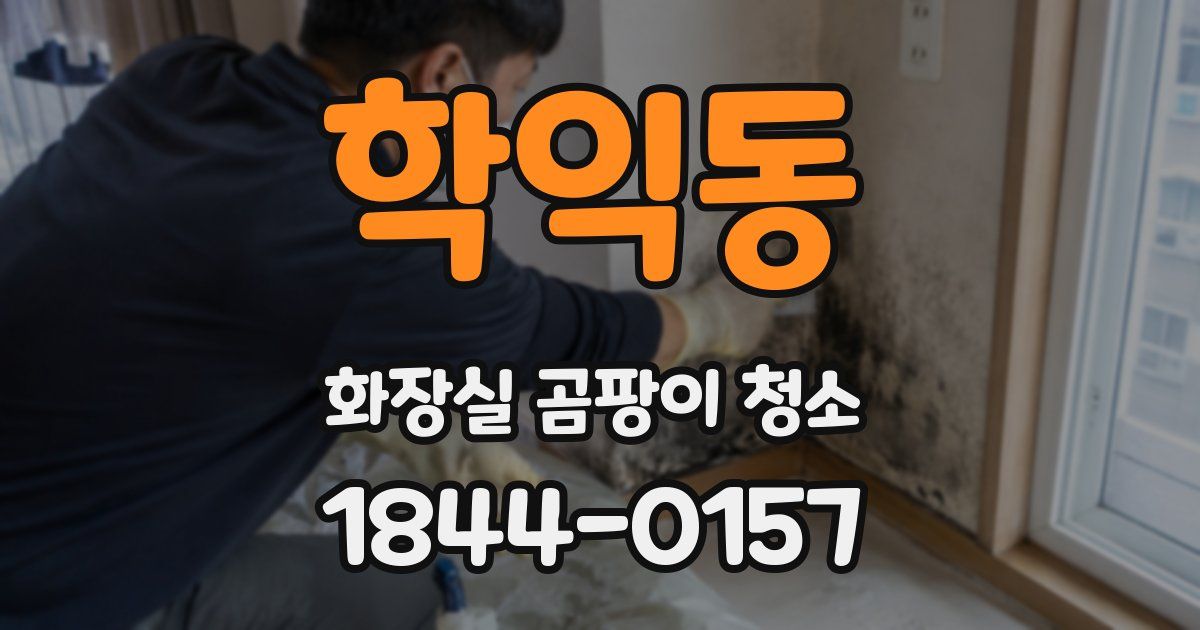 학익동 화장실 곰팡이 청소