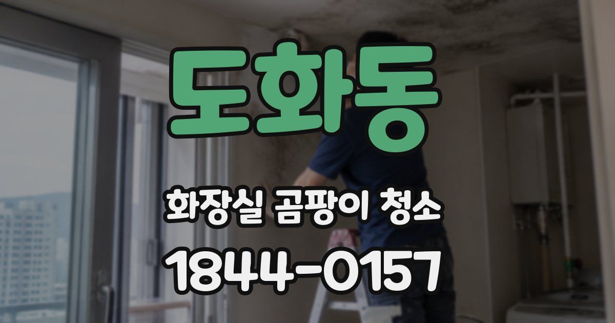 도화동 화장실 곰팡이 청소