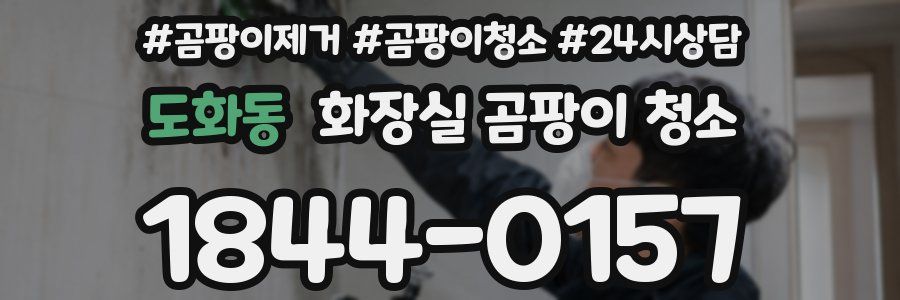 도화동 화장실 곰팡이 청소