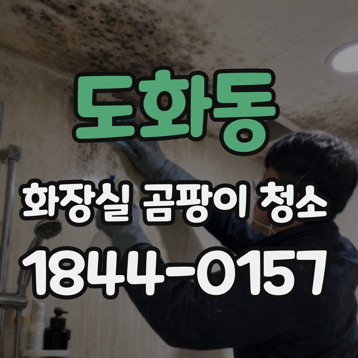 도화동 화장실 곰팡이 청소