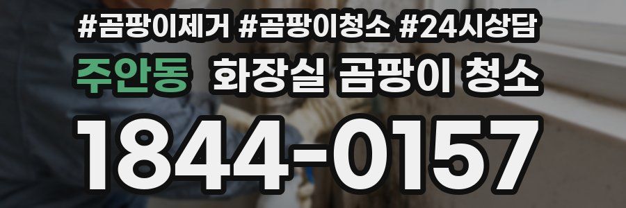 주안동 화장실 곰팡이 청소