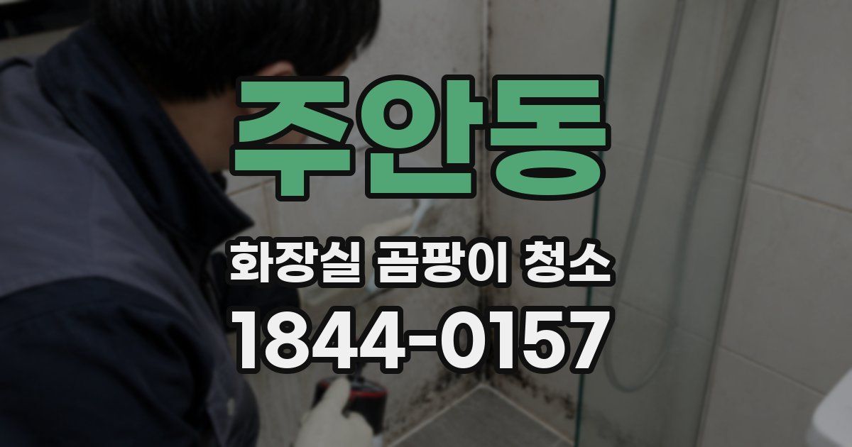 주안동 화장실 곰팡이 청소
