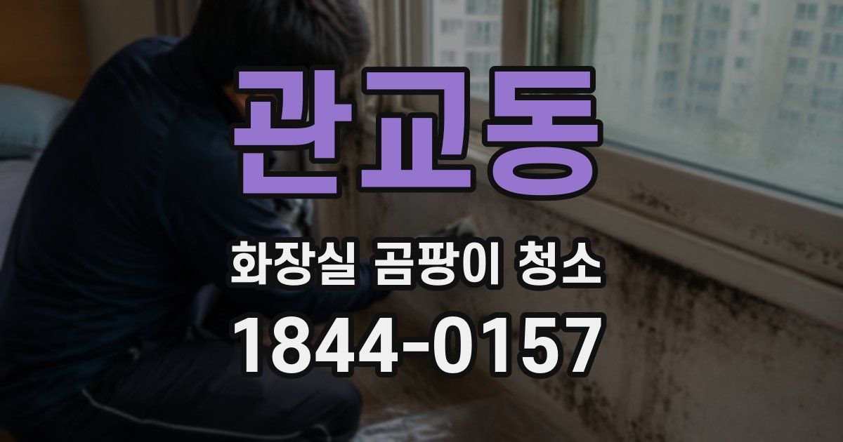 관교동 화장실 곰팡이 청소