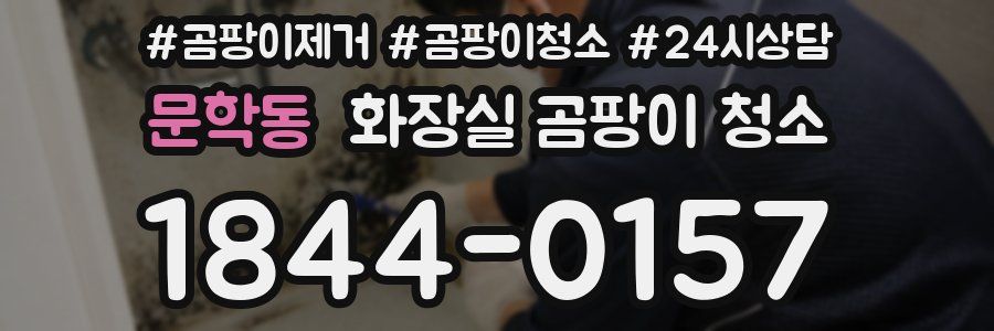 문학동 화장실 곰팡이 청소