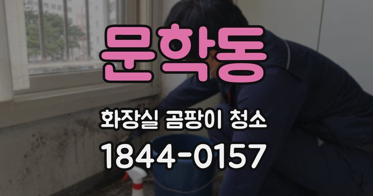 문학동 화장실 곰팡이 청소