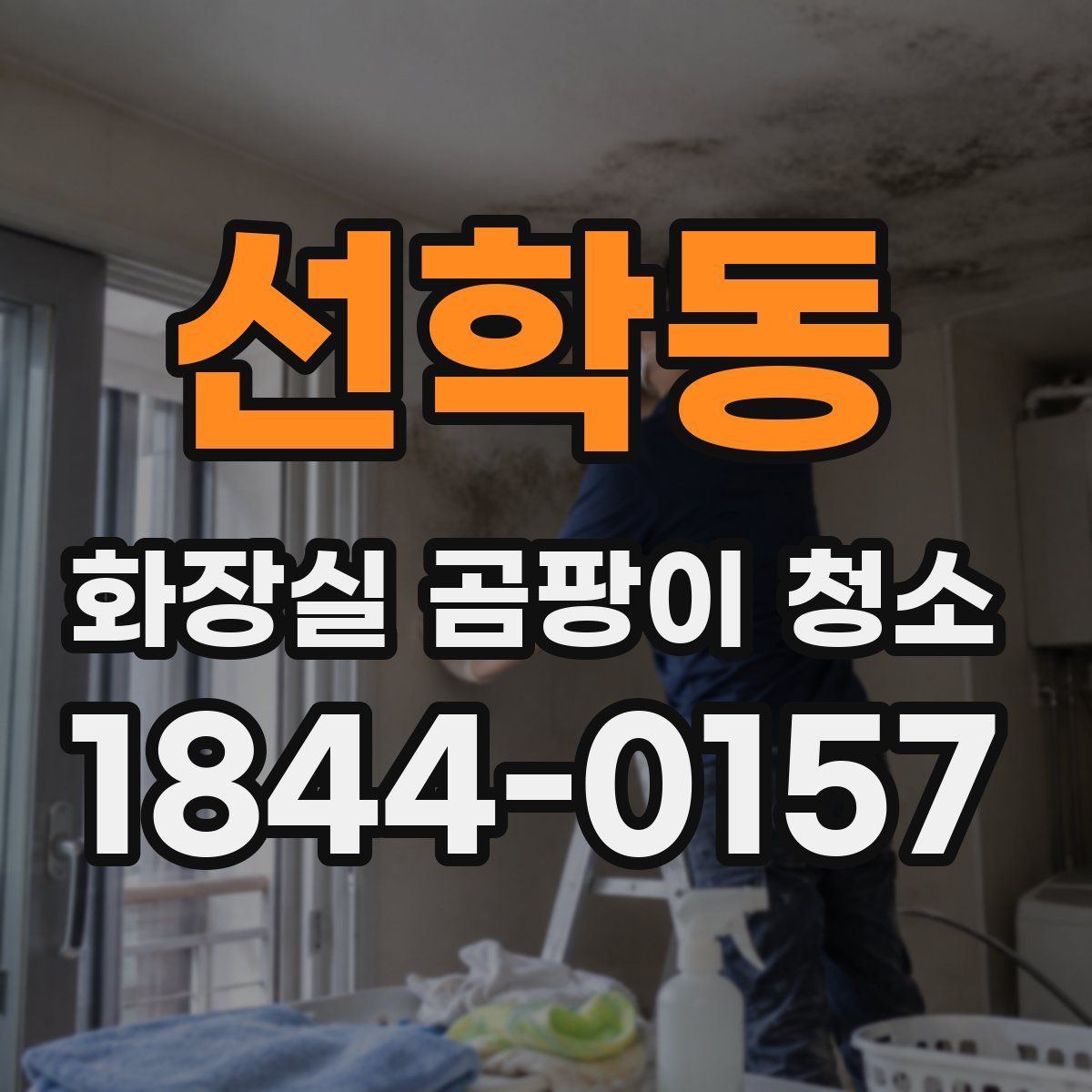 선학동 화장실 곰팡이 청소
