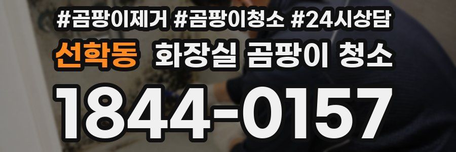 선학동 화장실 곰팡이 청소