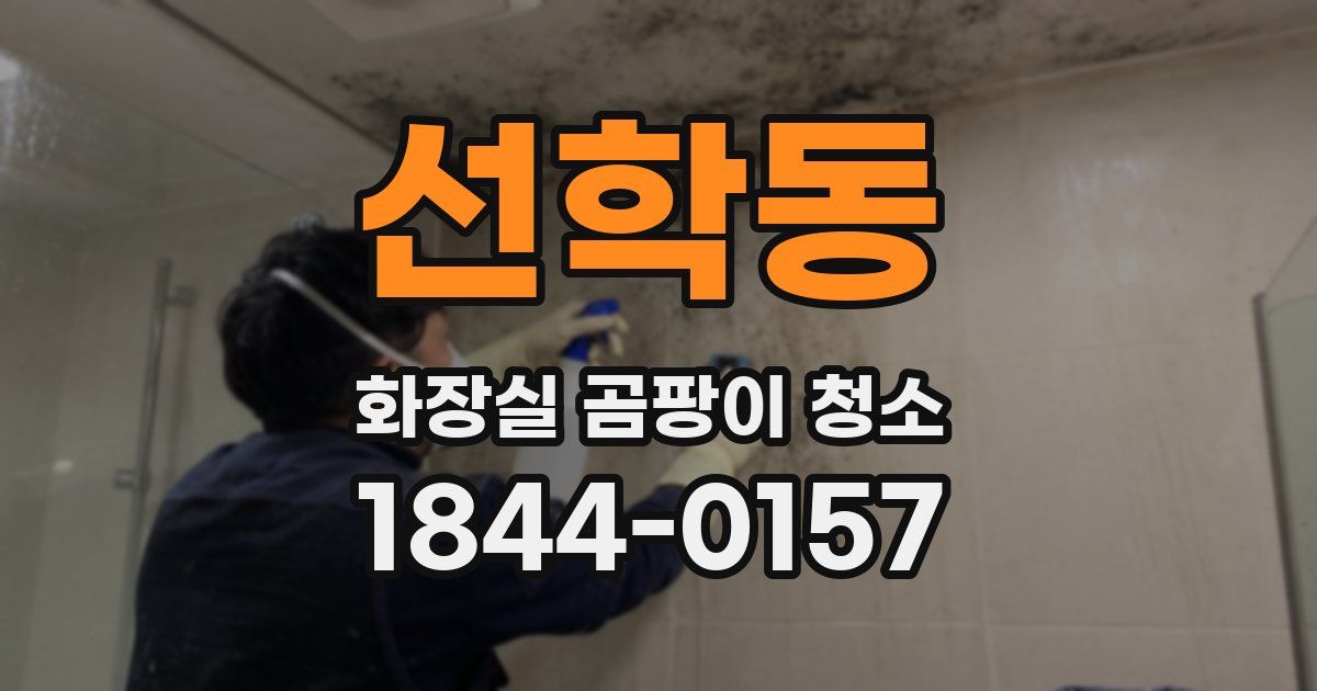 선학동 화장실 곰팡이 청소