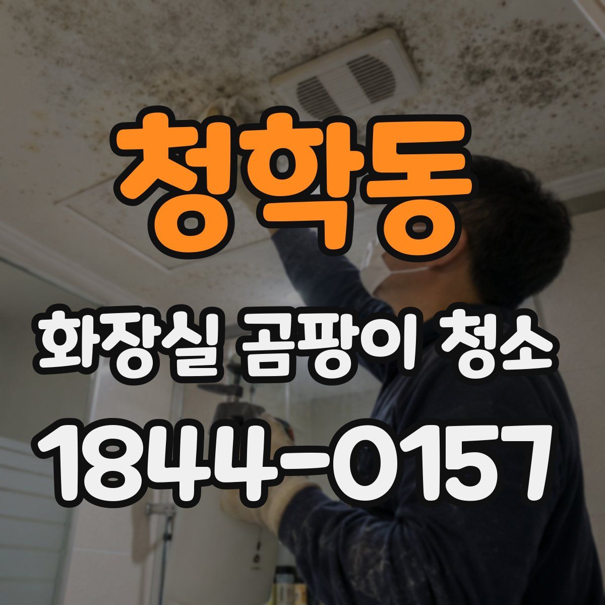 청학동 화장실 곰팡이 청소