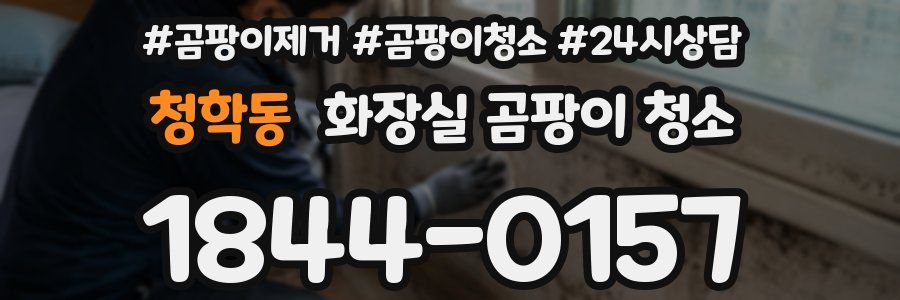 청학동 화장실 곰팡이 청소