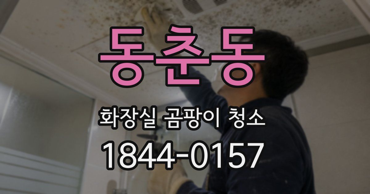 동춘동 화장실 곰팡이 청소