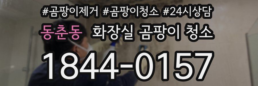 동춘동 화장실 곰팡이 청소