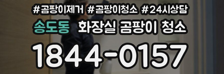 송도동 화장실 곰팡이 청소