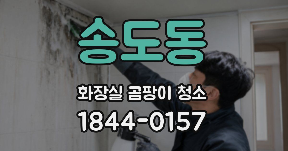 송도동 화장실 곰팡이 청소