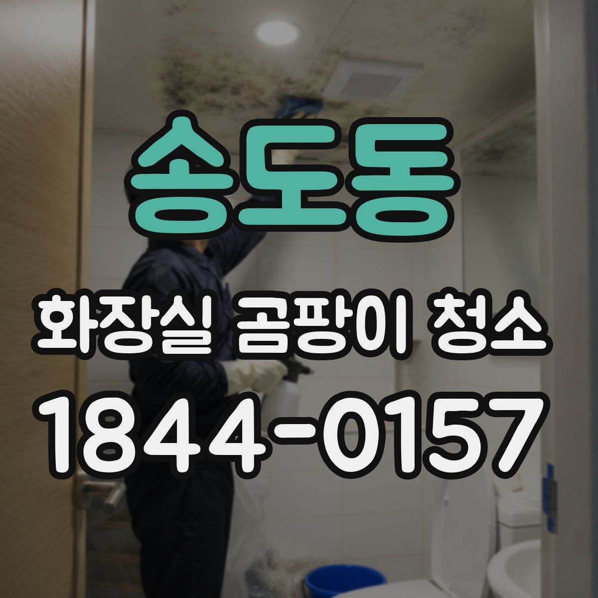 송도동 화장실 곰팡이 청소