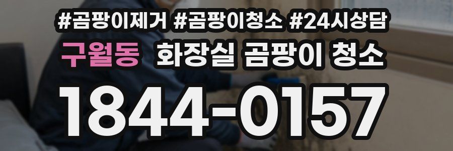 구월동 화장실 곰팡이 청소
