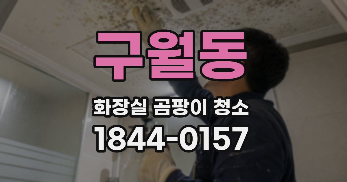 구월동 화장실 곰팡이 청소