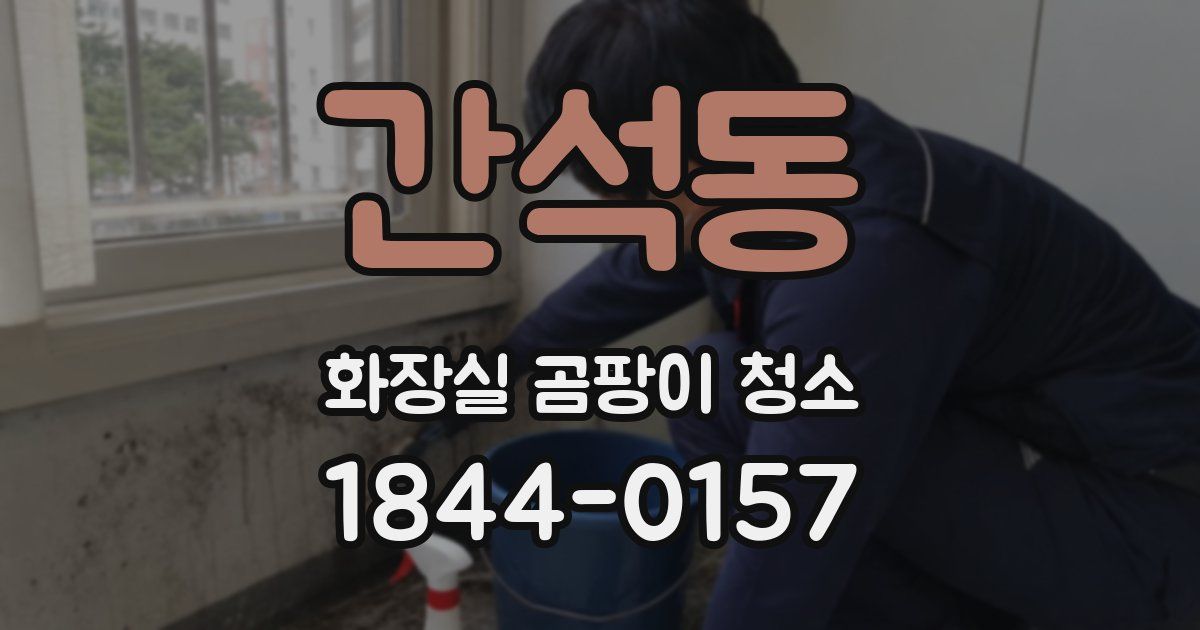간석동 화장실 곰팡이 청소