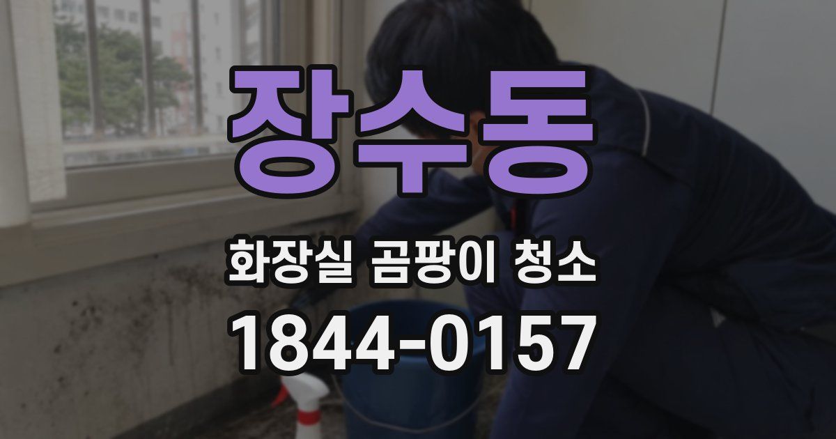 장수동 화장실 곰팡이 청소
