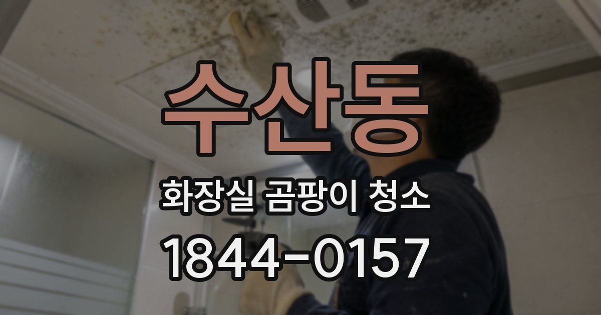 수산동 화장실 곰팡이 청소