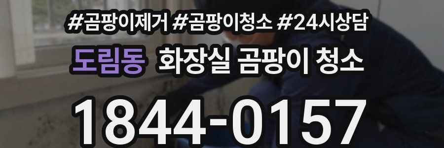 도림동 화장실 곰팡이 청소