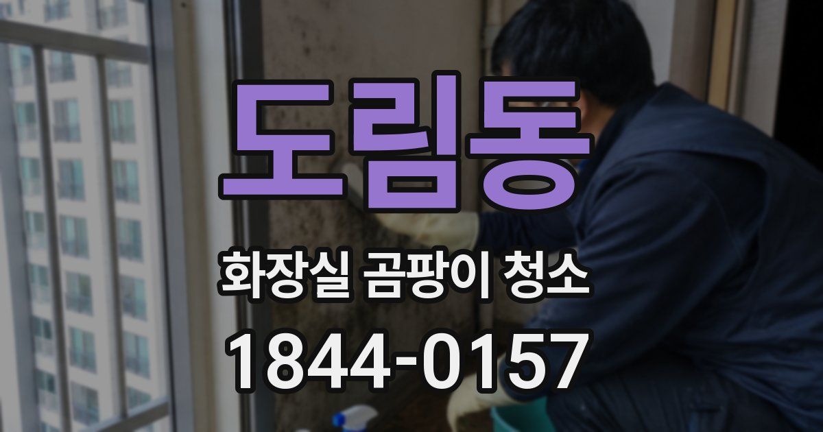 도림동 화장실 곰팡이 청소