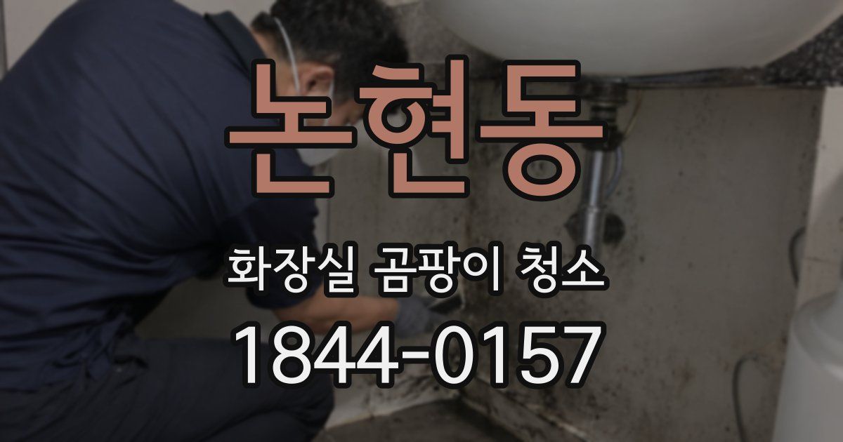 논현동 화장실 곰팡이 청소