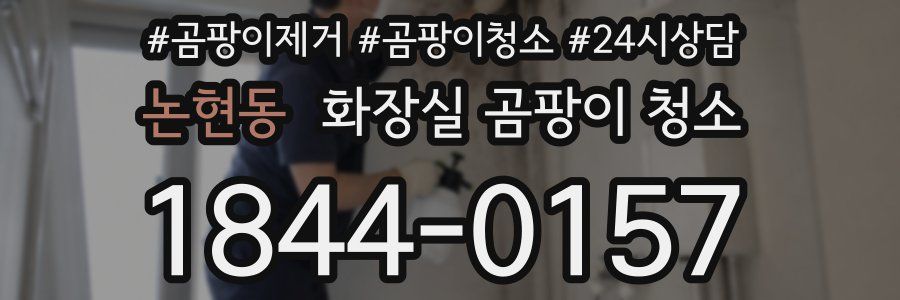 논현동 화장실 곰팡이 청소