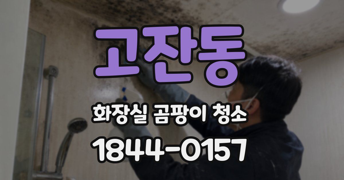 고잔동 화장실 곰팡이 청소