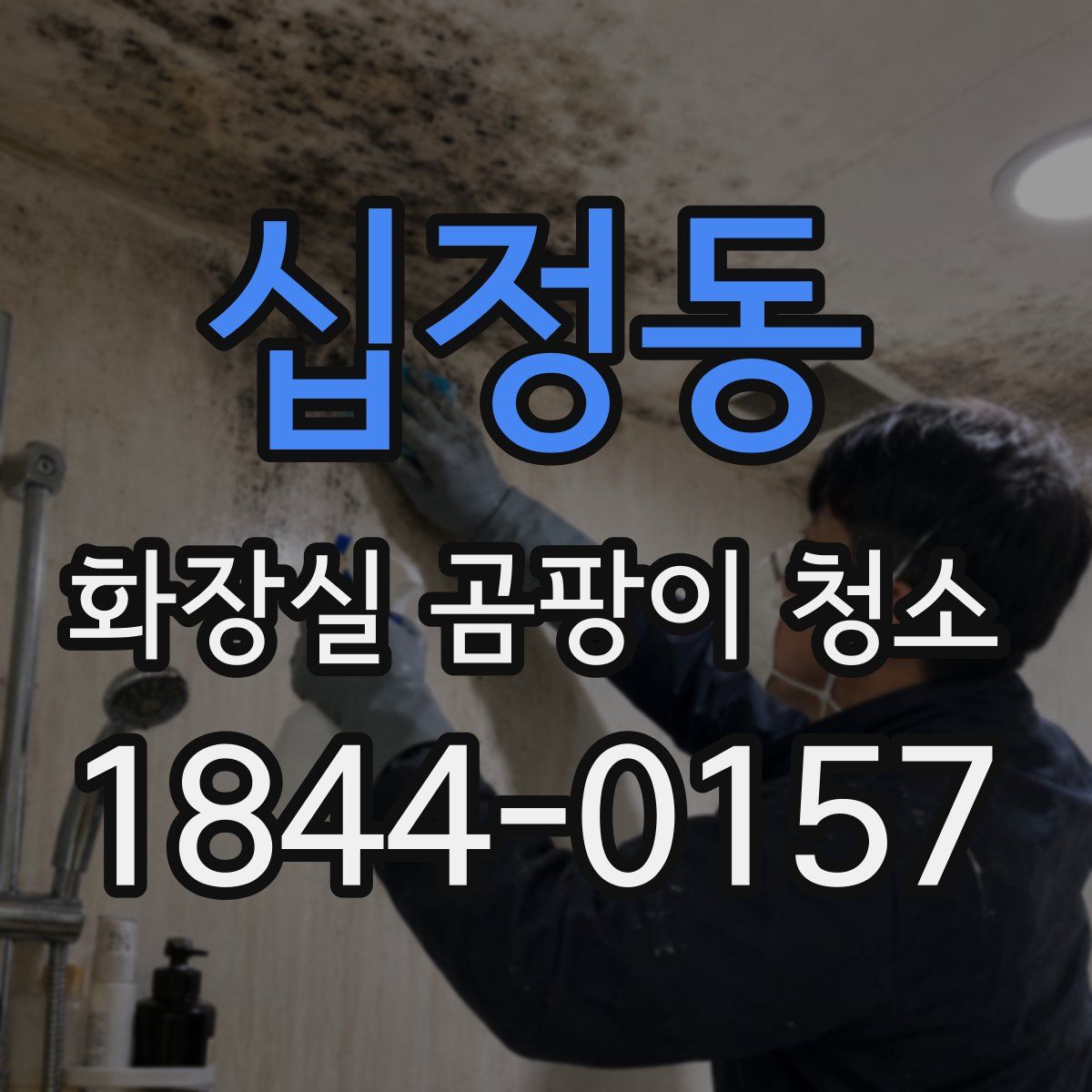 십정동 화장실 곰팡이 청소