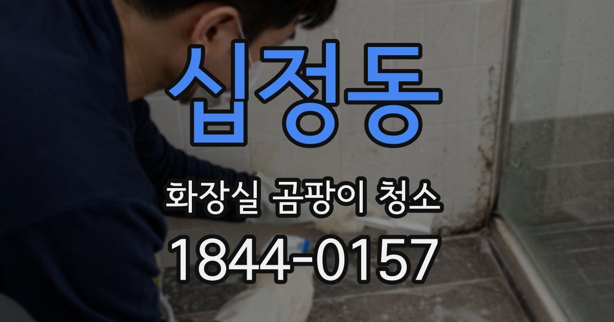 십정동 화장실 곰팡이 청소