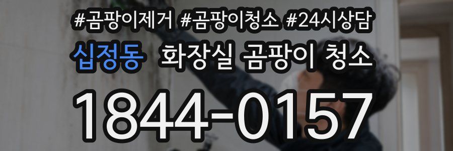 십정동 화장실 곰팡이 청소