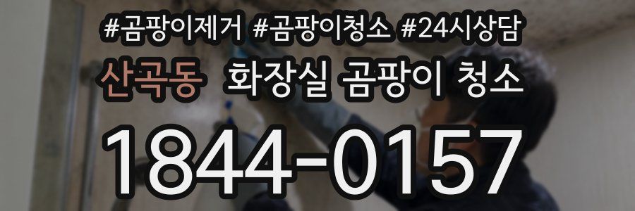 산곡동 화장실 곰팡이 청소