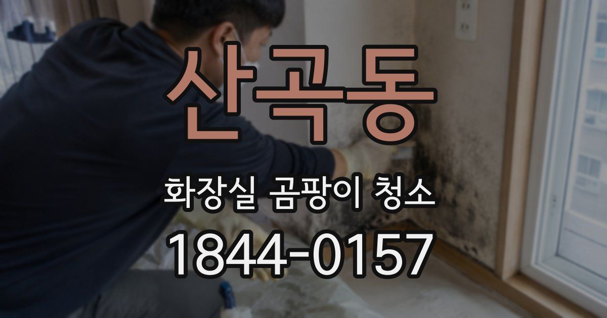 산곡동 화장실 곰팡이 청소
