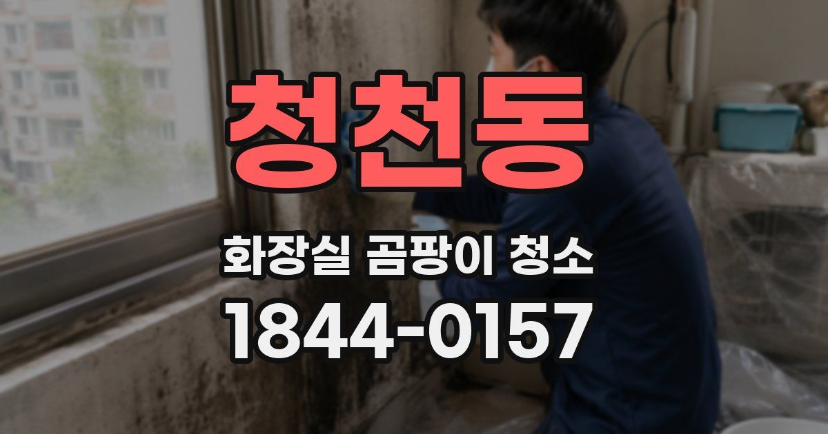 청천동 화장실 곰팡이 청소