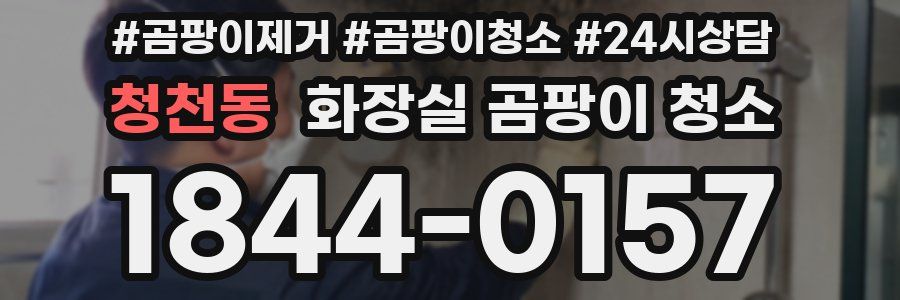 청천동 화장실 곰팡이 청소