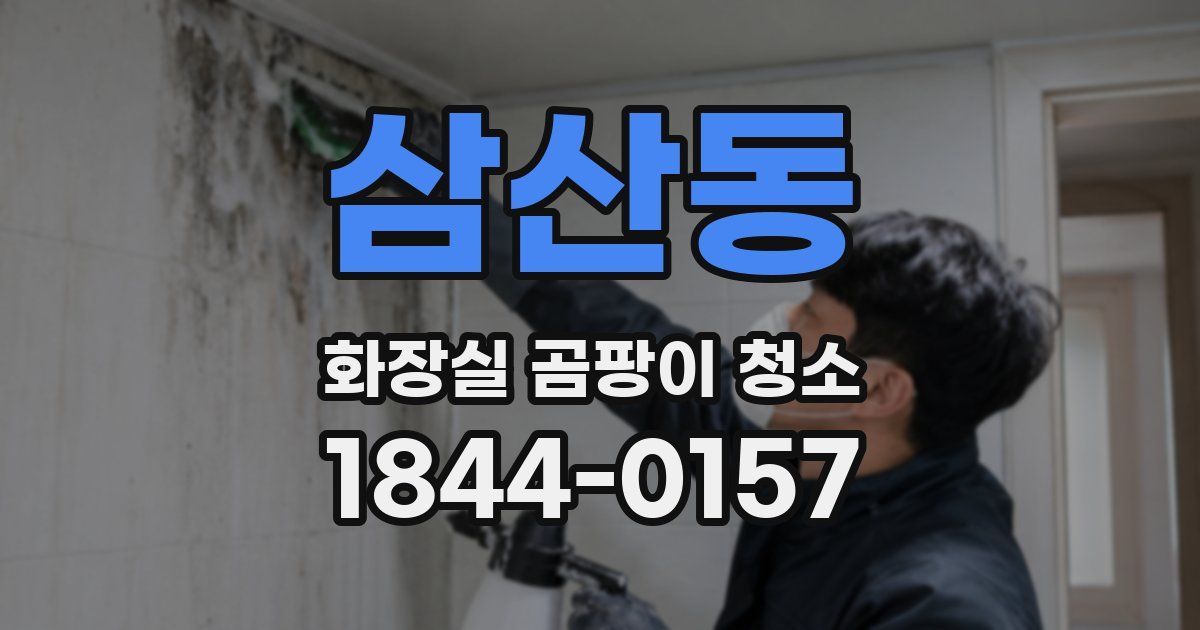 삼산동 화장실 곰팡이 청소