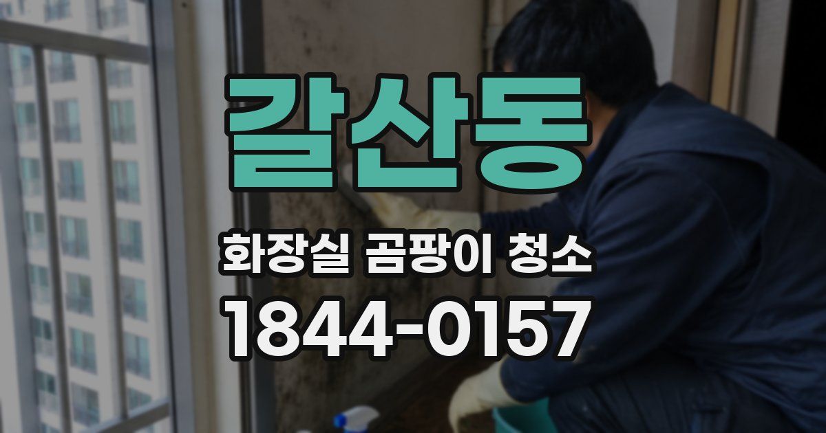 갈산동 화장실 곰팡이 청소