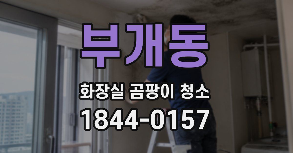 부개동 화장실 곰팡이 청소