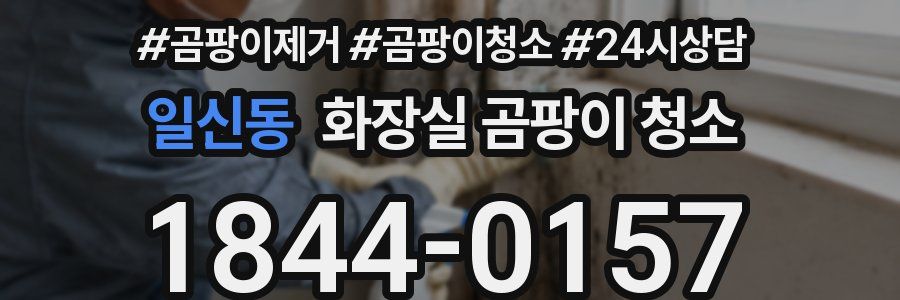일신동 화장실 곰팡이 청소