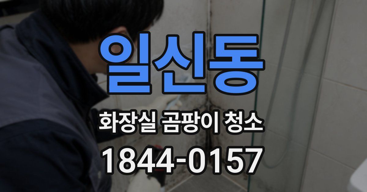 일신동 화장실 곰팡이 청소