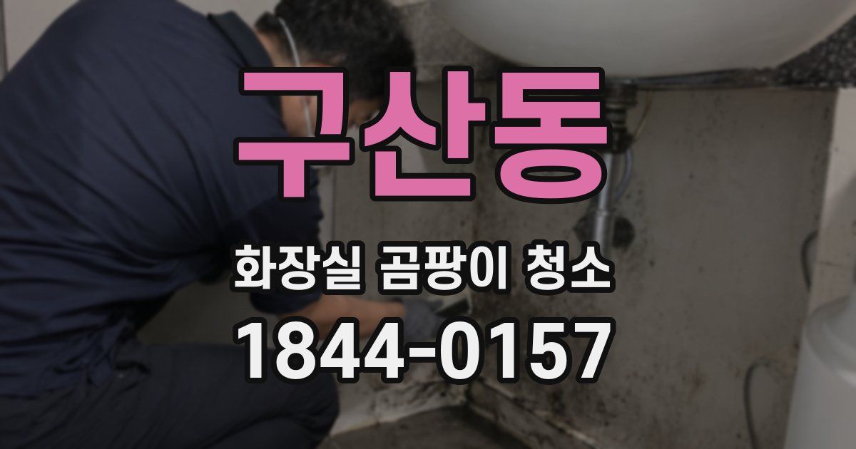 구산동 화장실 곰팡이 청소