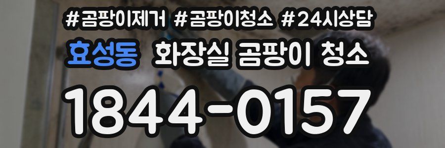 효성동 화장실 곰팡이 청소