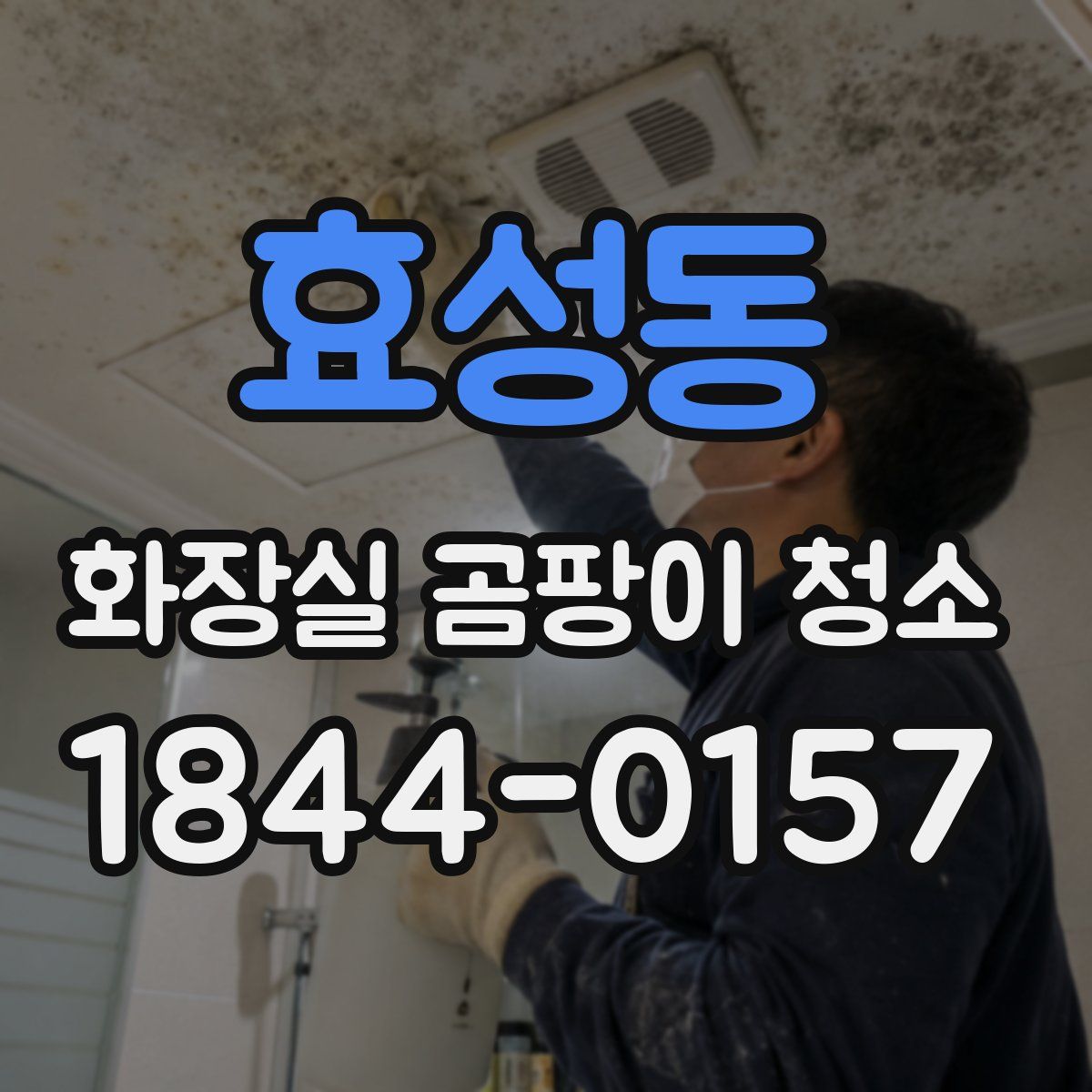 효성동 화장실 곰팡이 청소