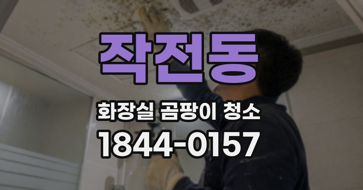 작전동 화장실 곰팡이 청소