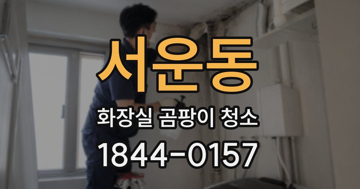 서운동 화장실 곰팡이 청소