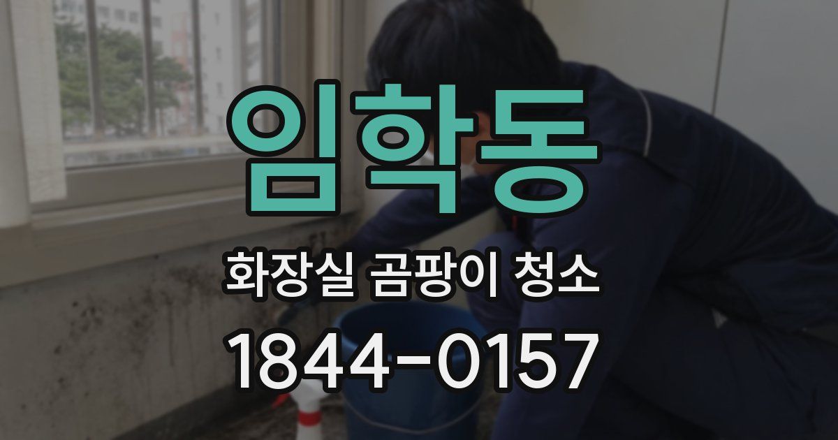 임학동 화장실 곰팡이 청소