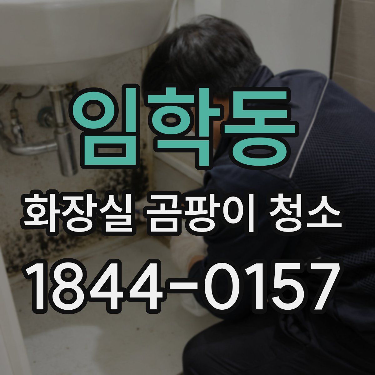 임학동 화장실 곰팡이 청소