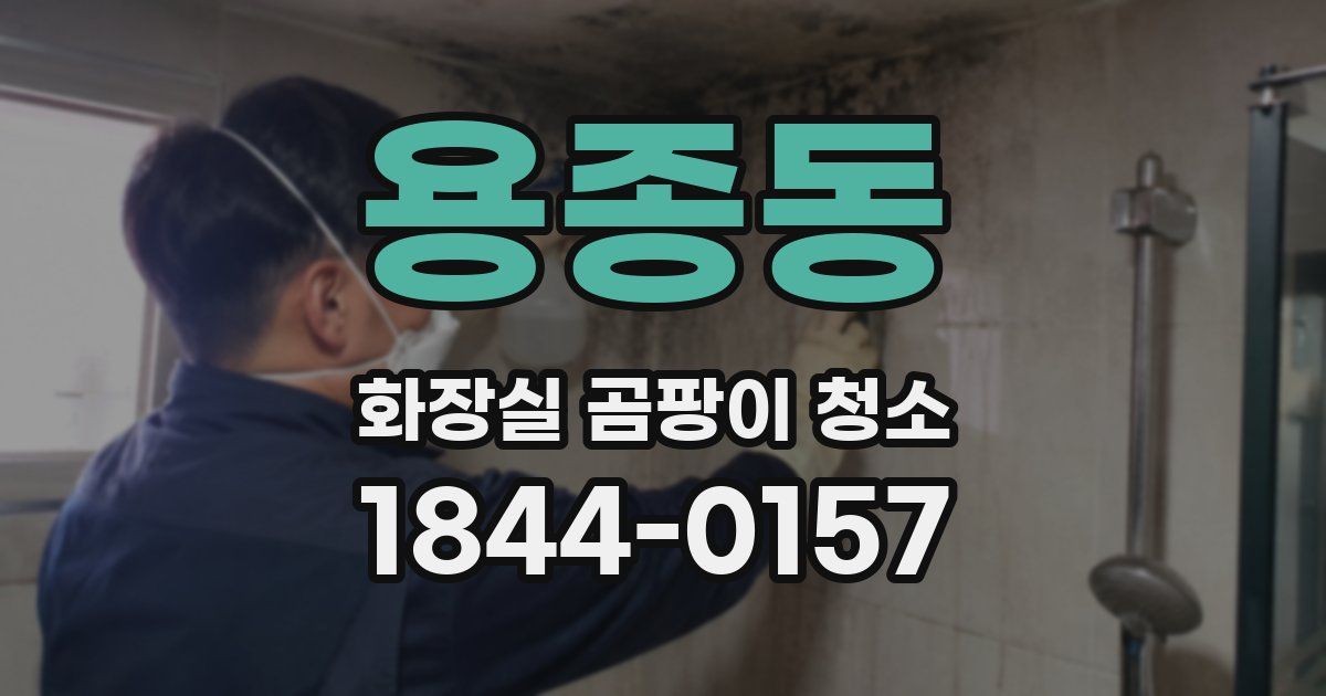 용종동 화장실 곰팡이 청소