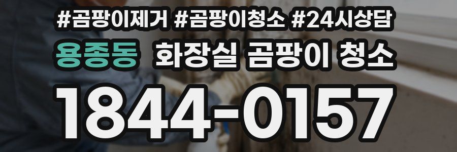 용종동 화장실 곰팡이 청소